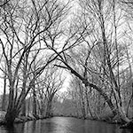 Woonasquatucket River in Winter
