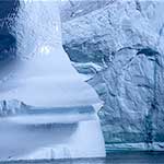 Iceberg and Fulmar