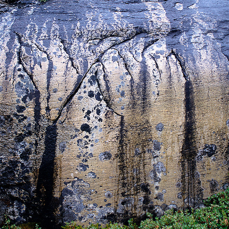 Drip Patterns on Rock near Amitsuatsiaq