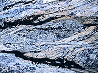 'Filigreed' Rock Surface