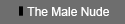 Gallery: The Male Nude